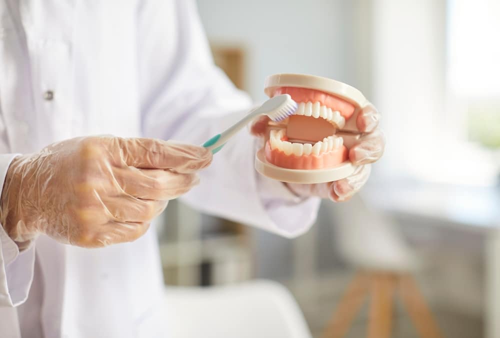 Dental professional demonstrating careful brushing on a dental model